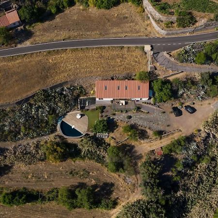Finca En El Corazon De La Isla Tejeda  Bagian luar foto